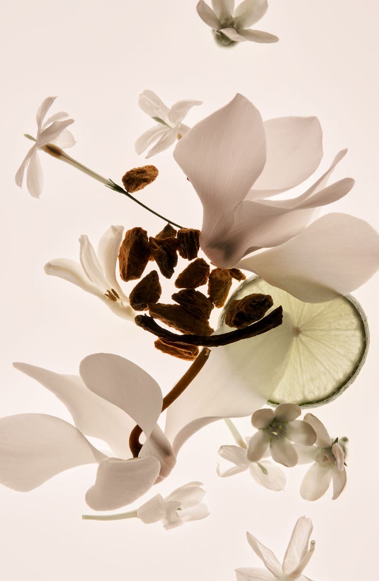 PHLUR Missing Person Eau de Parfum, Alternate, color, 