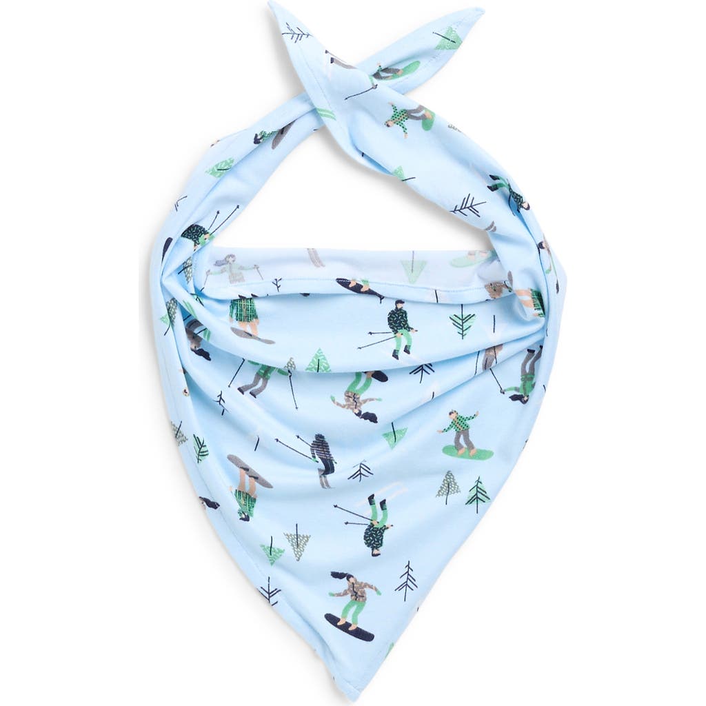 Pillow Talk Matching Family Ski Print Pet Bandana