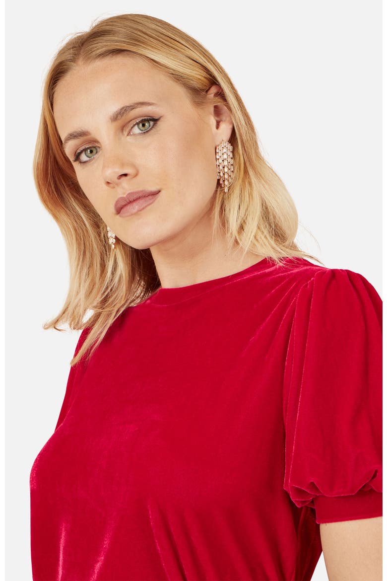 Velvet Puff Sleeve Top, Alternate, color, Red