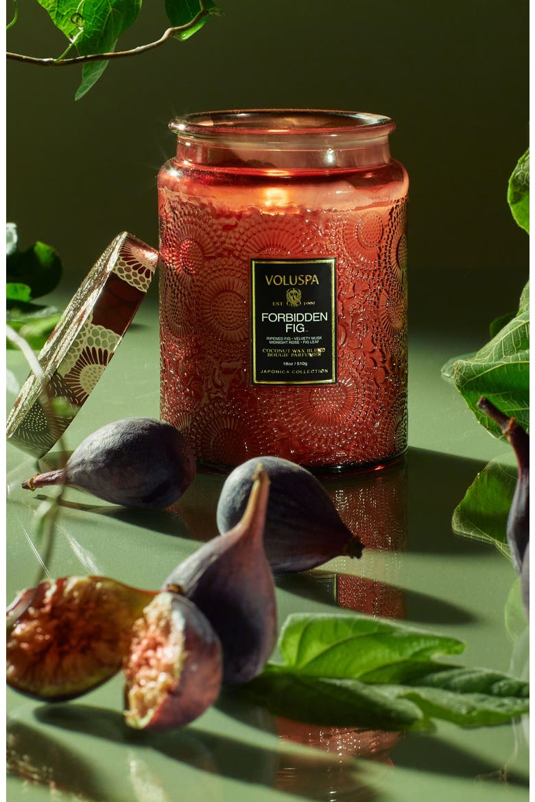 Forbidden Fig Large Jar Candle, Alternate, color, FORBIDDEN FIG