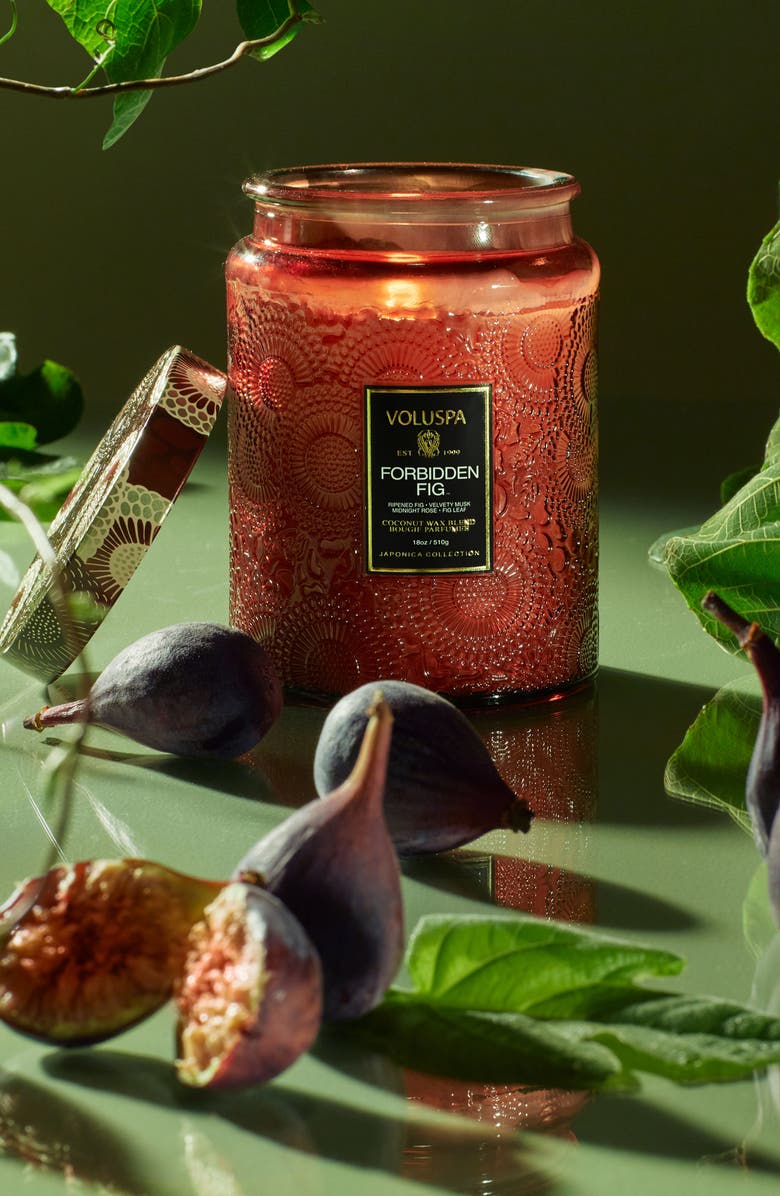 Voluspa Forbidden Fig Large Jar Candle, Alternate, color, Forbidden Fig