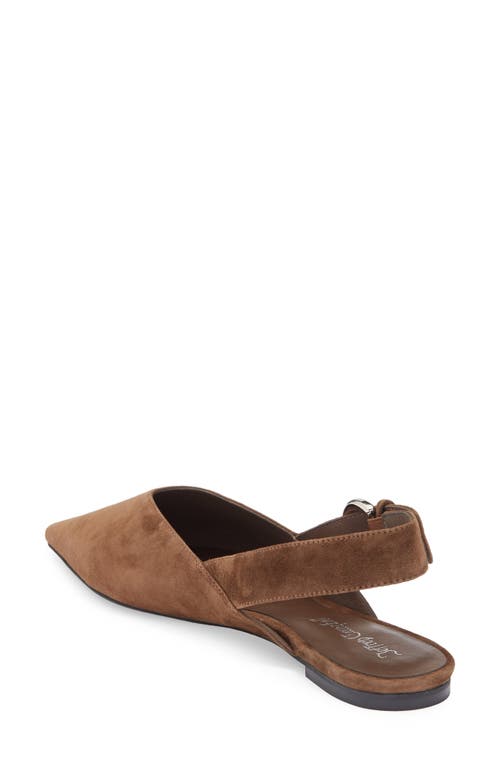 Jeffrey Campbell Scone Slingback Pointed Toe Flat In Brown