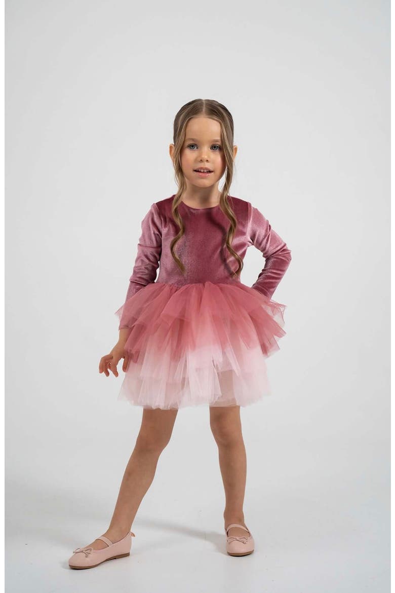 Luna Long Sleeve Velvet Tutu Dress, Alternate, color, Dusty Rose