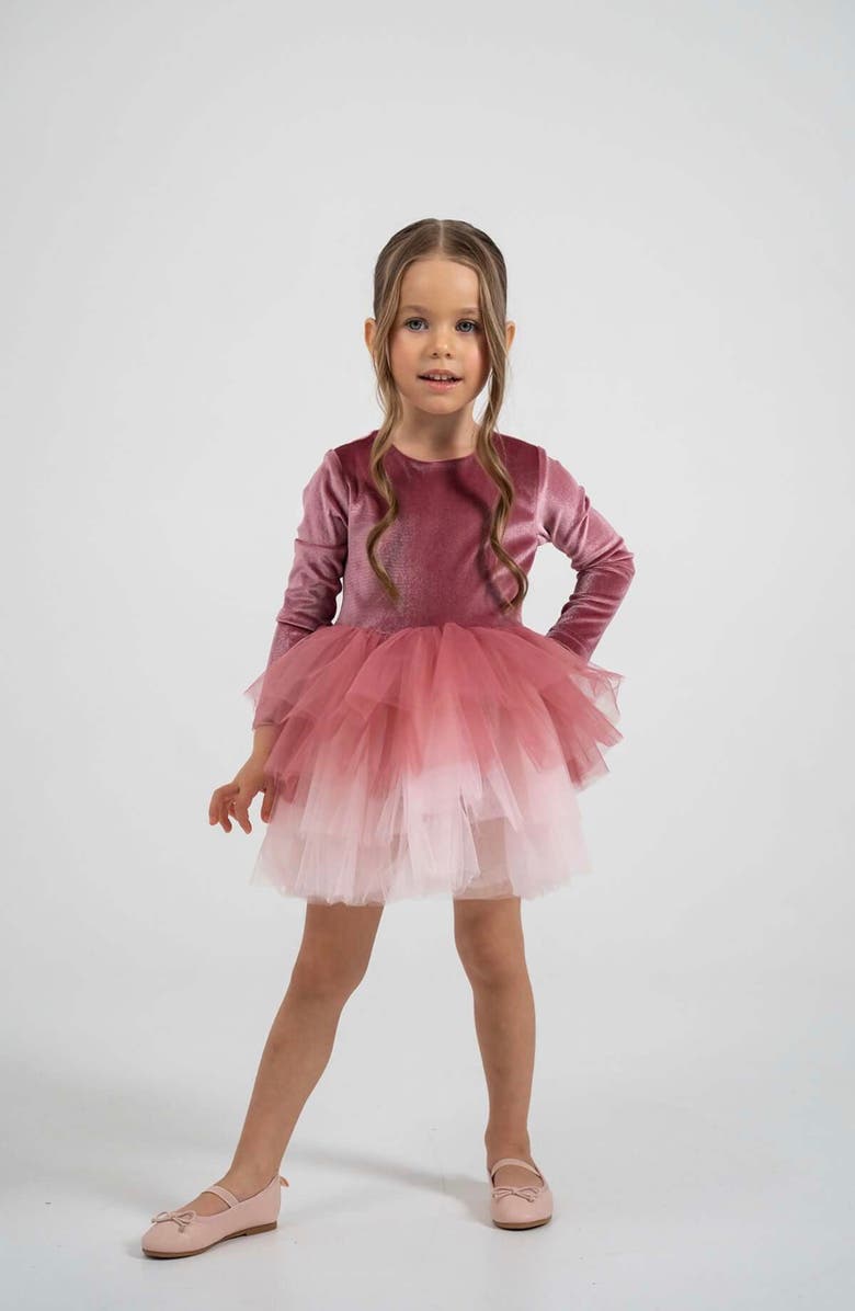 Mini Celebrities Luna Long Sleeve Velvet Tutu Dress, Alternate, color, Dusty Rose
