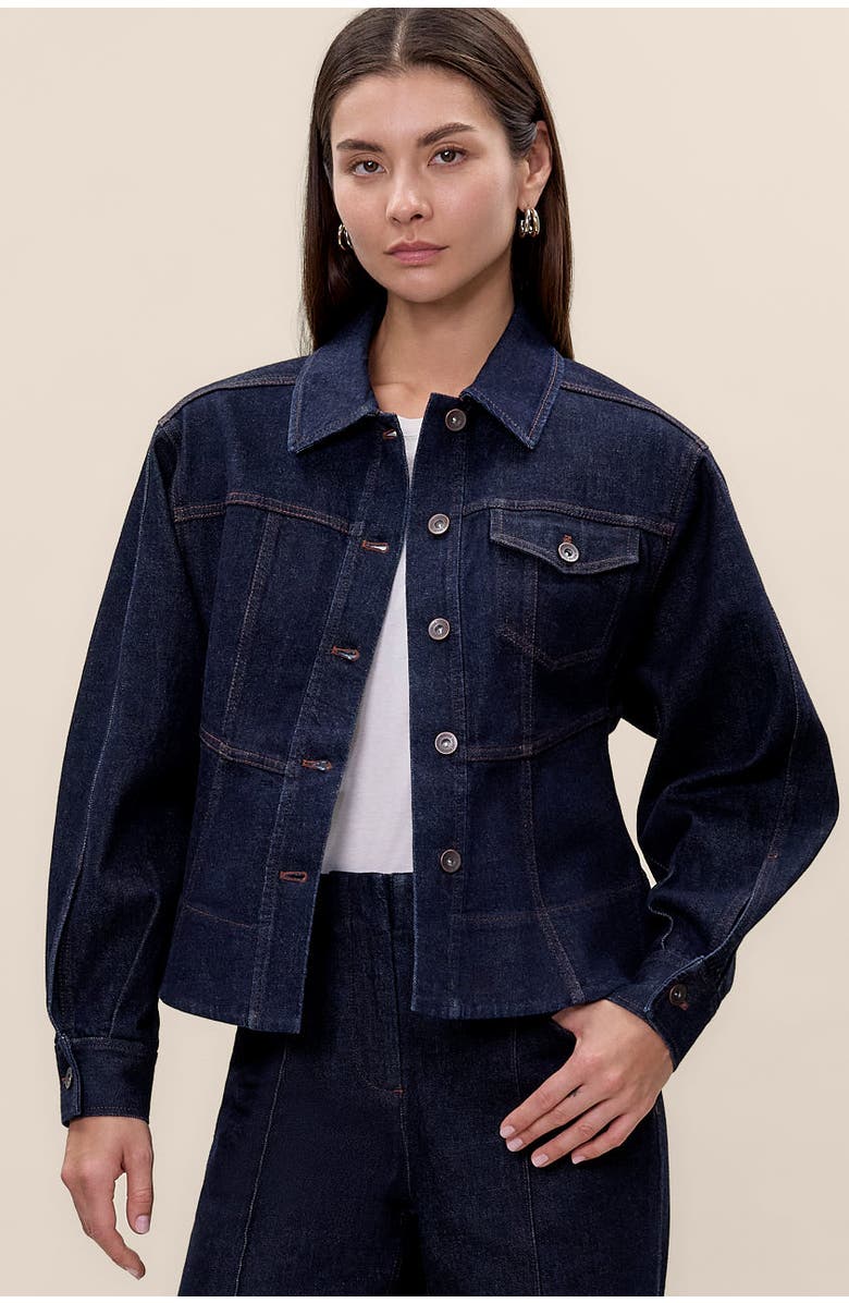 Rebecca Taylor Carmen Denim Jacket, Main, color, Carmen Indigo