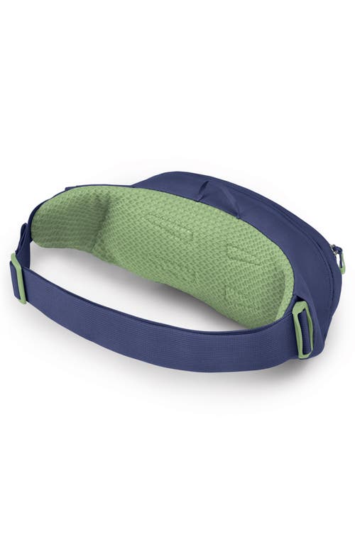 Osprey Daylite Waist Pack In Blue Spikemoss/alkaline