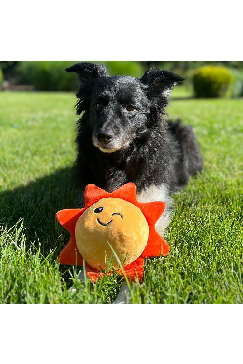 Dog Toy, Alternate, color, Multicolored