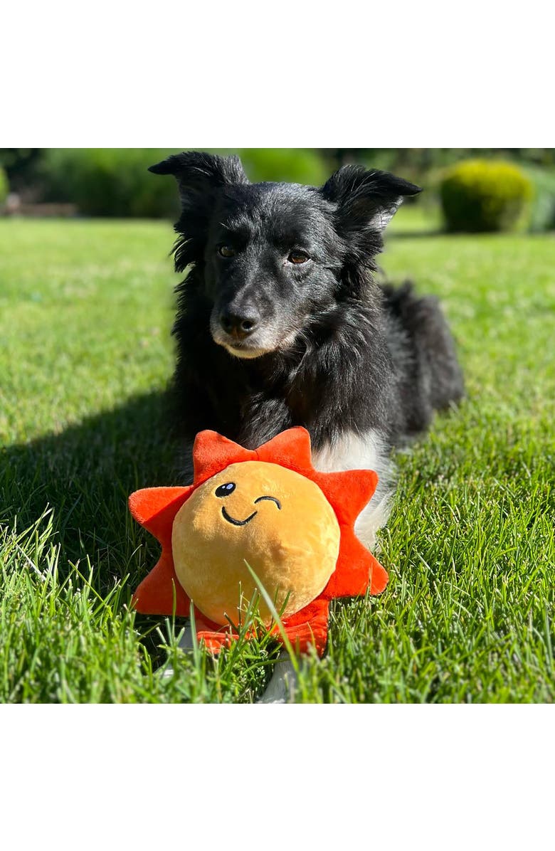 SnugArooz Dog Toy, Alternate, color, Multicolored