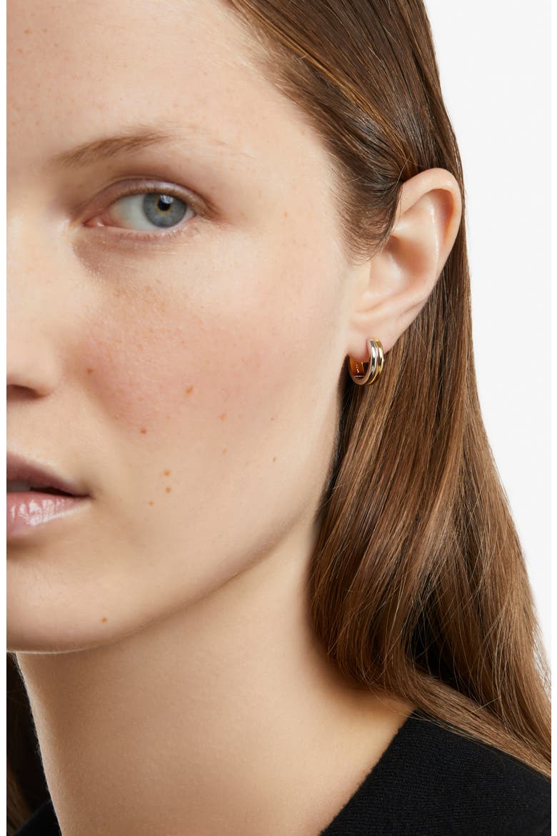 Huggie Hoop Earrings - Asher, Alternate, color, Gold/silver