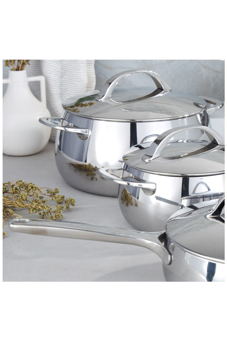 Belly Tri-Ply 10-Piece Stainless Steel Cookware Set, Alternate, color, STELLAR