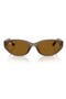 selected Transparent Brown