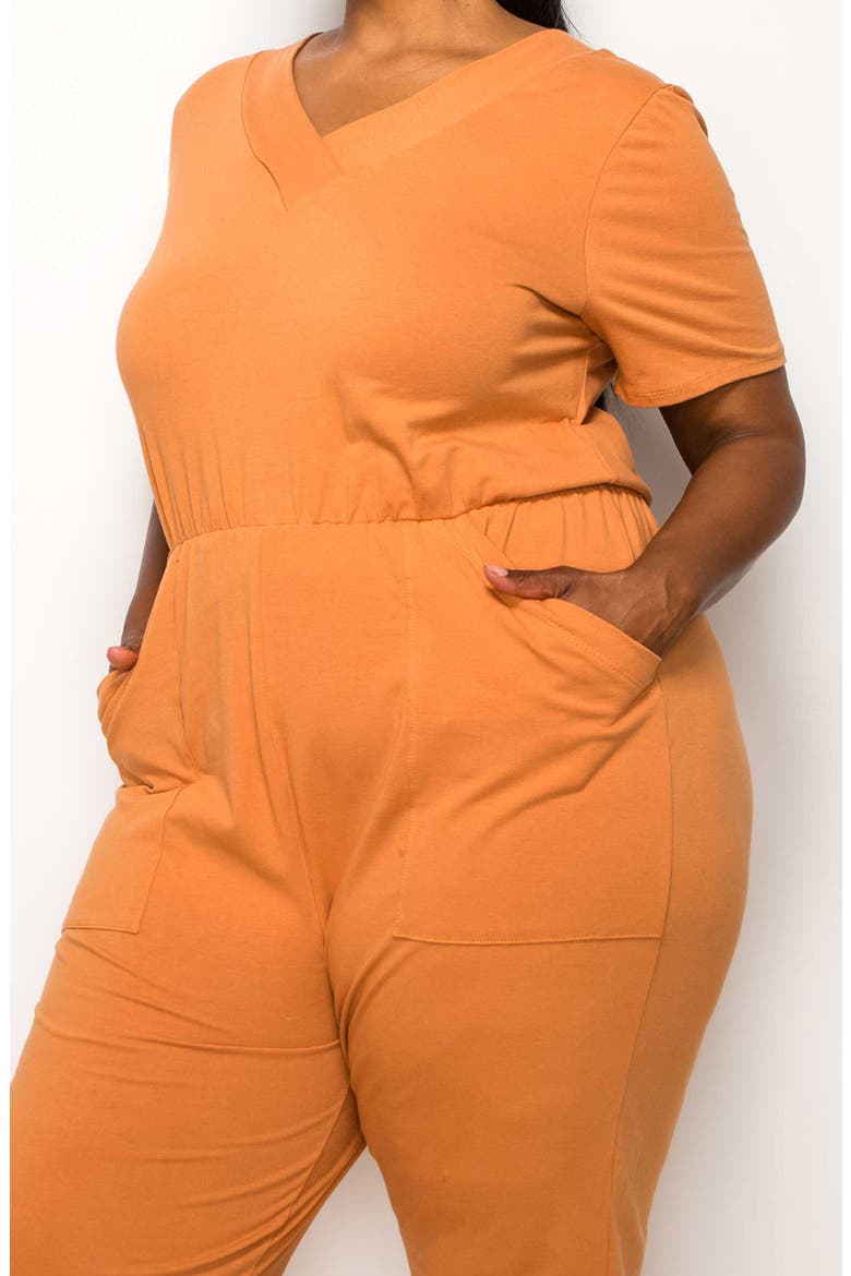 Gineva Pocket V-Neck Jumpsuit, Alternate, color, CLAY