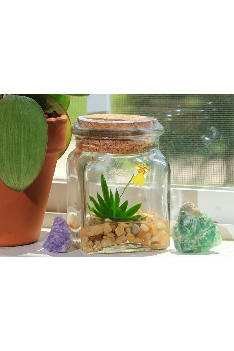 Orchid Terrarium, Alternate, color, Yellow