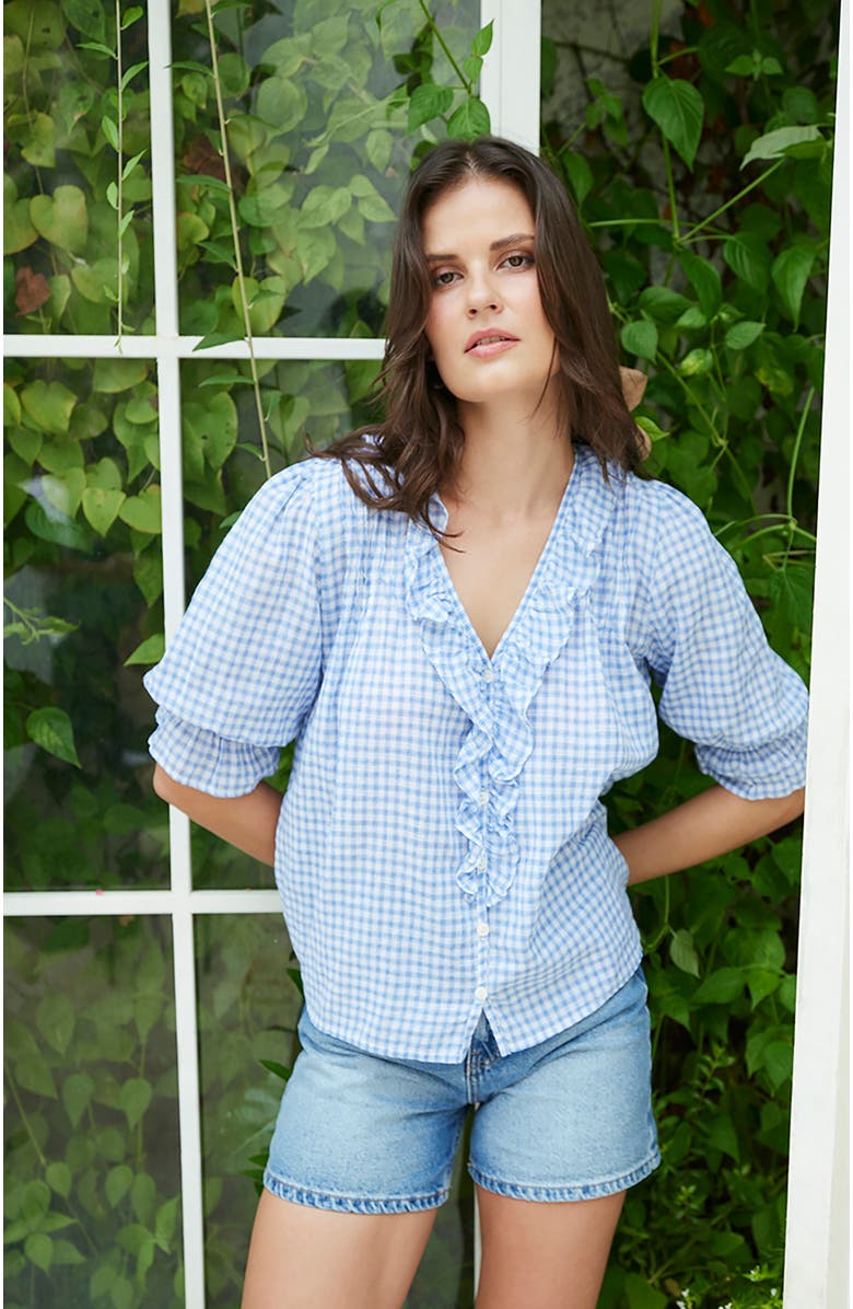 Paneros Clothing Camilla Embroidered Blouse, Alternate, color, Petite Blue Plaid