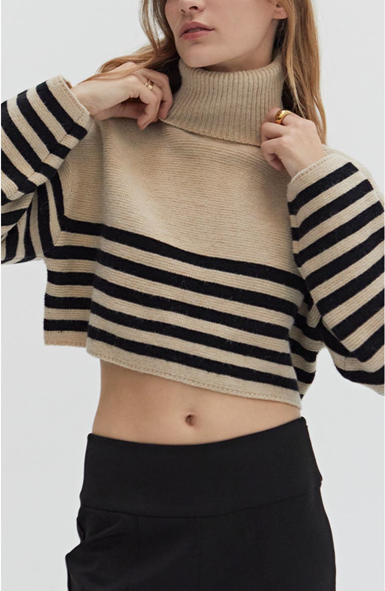 CRESCENT Turtleneck Striped Crop Sweater, Alternate, color, Taupe/Black
