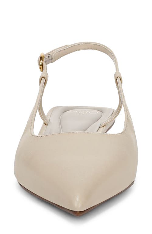 SARTO BY FRANCO SARTO SARTO BY FRANCO SARTO PHEBY SLINGBACK POINTED TOE FLAT 