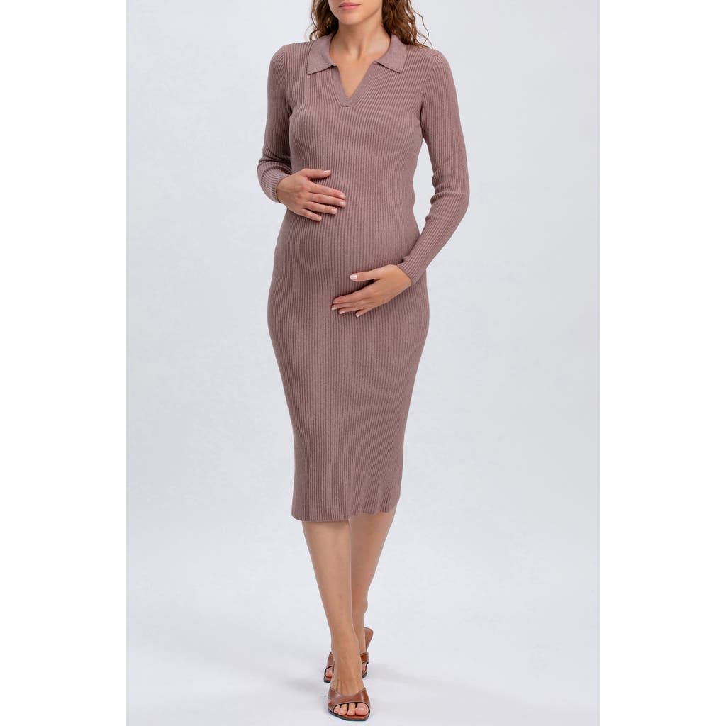 Pietro Brunelli Maternity Lavinia Rib Knit Maternity Dress In Multi
