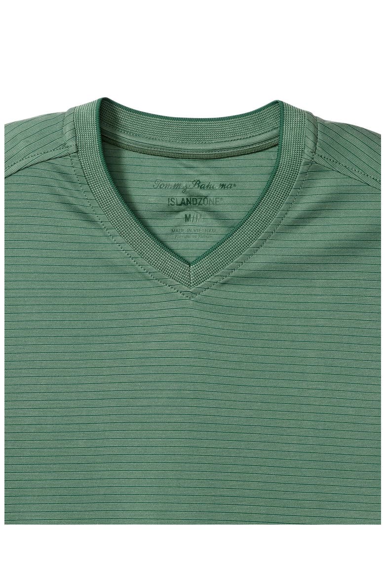 Bay Stripe IslandZone® V-Neck Performance T-Shirt, Alternate, color, SPRUCE FROST