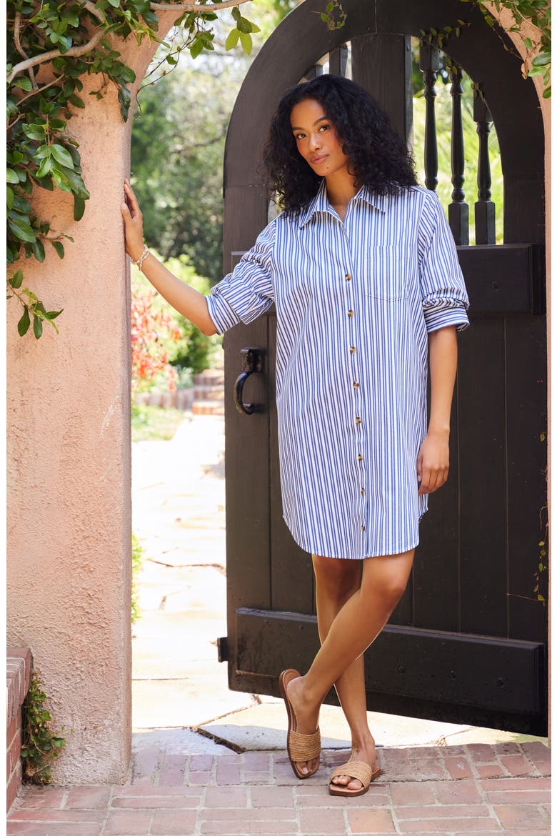 Ruched Sleeve Stripe Shirtdress, Alternate, color, BLUE/WHITE