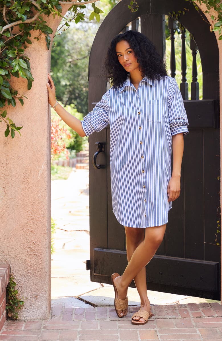 Karen Kane Ruched Sleeve Stripe Shirtdress, Alternate, color, Blue/White