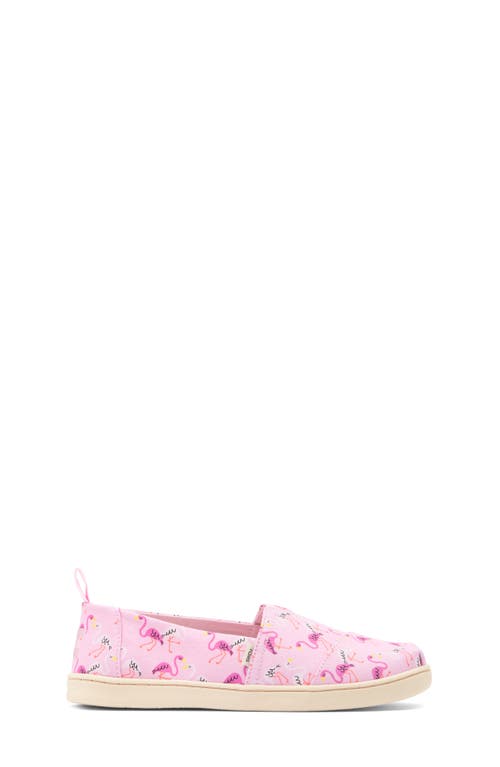 Toms Kids' Classic Alpargata Flamingo Slip-on In Pink