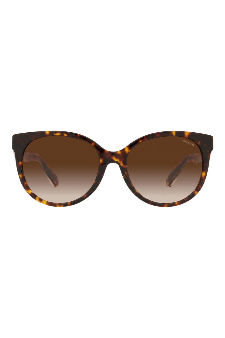 55mm Gradient Round Sunglasses, Main, color, DARK TORTOISE