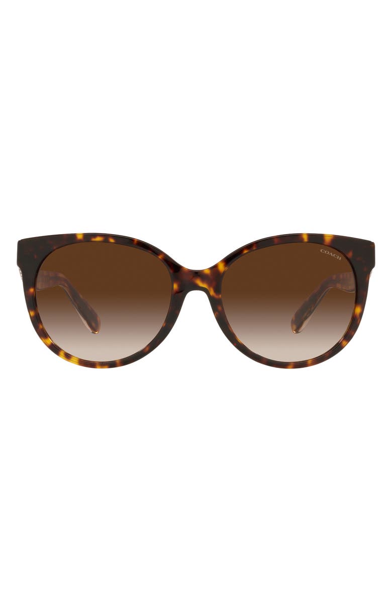 COACH 55mm Gradient Round Sunglasses, Main, color, Dark Tortoise