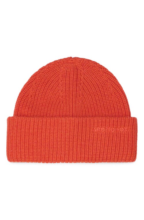 Arctic Fox & Co. Arctic Fox & Co The Embroidered Merino Wool Beanie In Orange