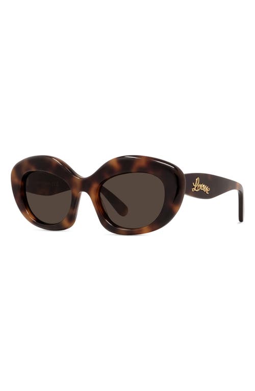 Loewe Curvy 51mm Cat Sunglasses In Brown