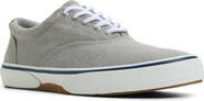 Sperry Halyard CVO Sneaker