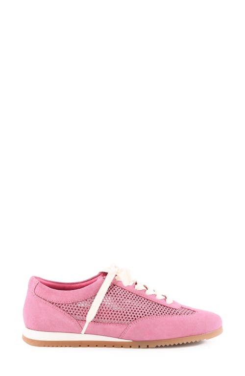 SEYCHELLES SEYCHELLES NAPLES SNEAKER 