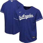 Nike Youth Nike  Royal Los Angeles Dodgers Alternate Replica Jersey