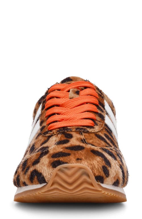 Dolce Vita Dv By Hype Faux Shearling Lined Sneaker In Animal Print