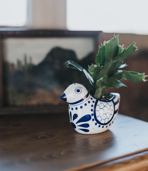 Matr Boomie Lalita Bird Succulent Planter In White