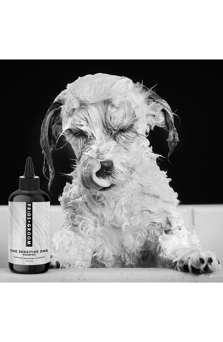 PRIDE+GROOM The Sensitive One Hypoallergenic Dog & Puppy Shampoo - With Hemp Oil, Aloe & Oatmeal For Sensitive Skin, Alternate, color, Brown