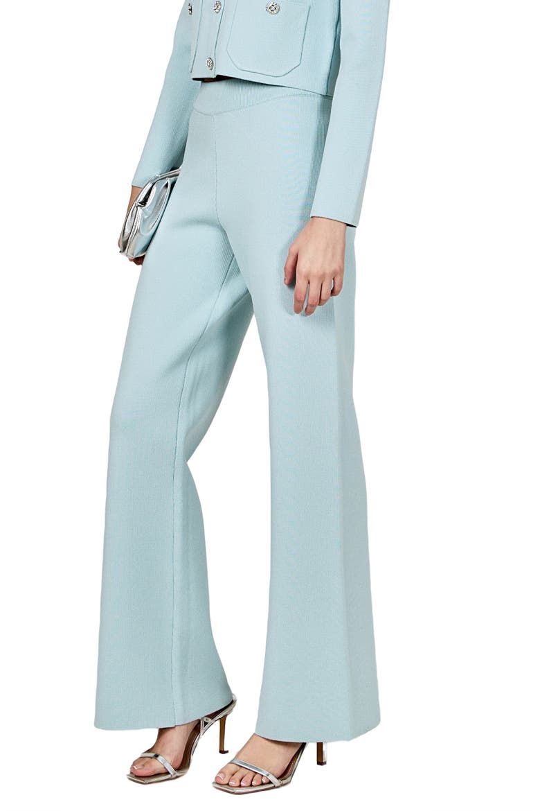 Relax Fit Sweater Pants, Alternate, color, POWDER BLUE