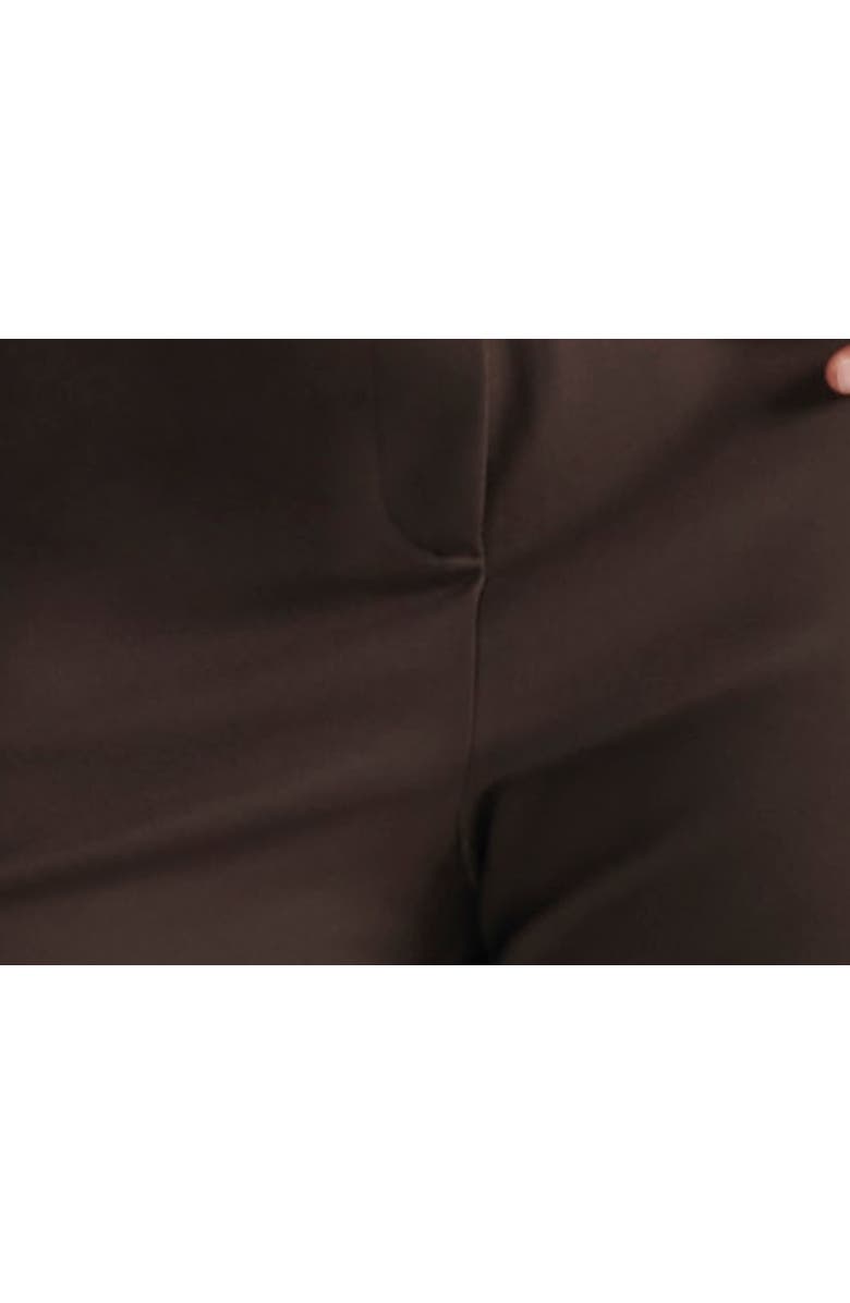 Pari Passu Ponte Dalita Pants - Espresso, Alternate, color, 