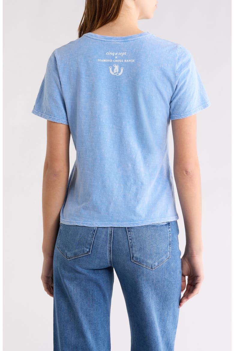 Garment Dyed Cotton Graphic Shrunken T-Shirt, Alternate, color, BLUE SLATE/ WHITE