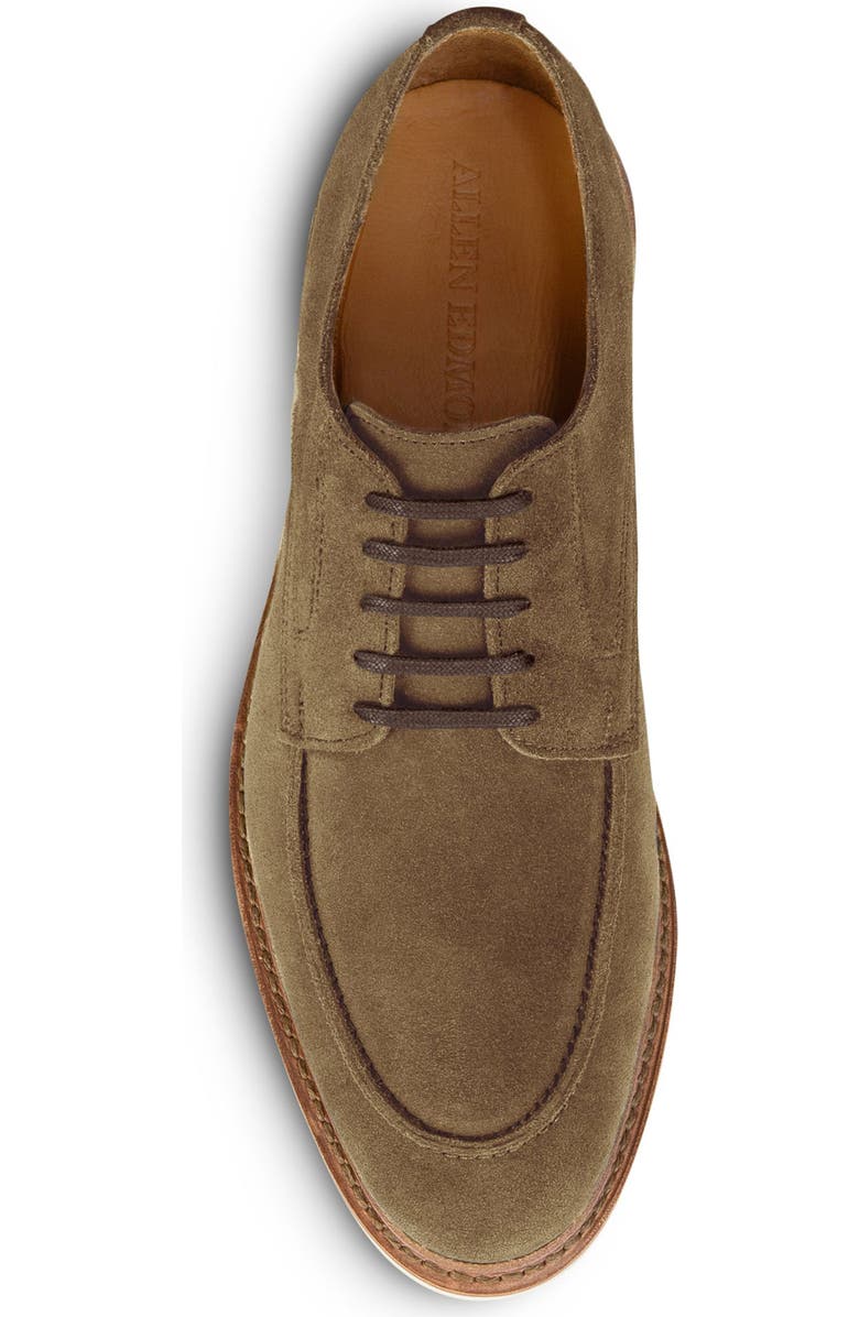Allen Edmonds Waylon Derby - Multiple Widths Available, Alternate, color,