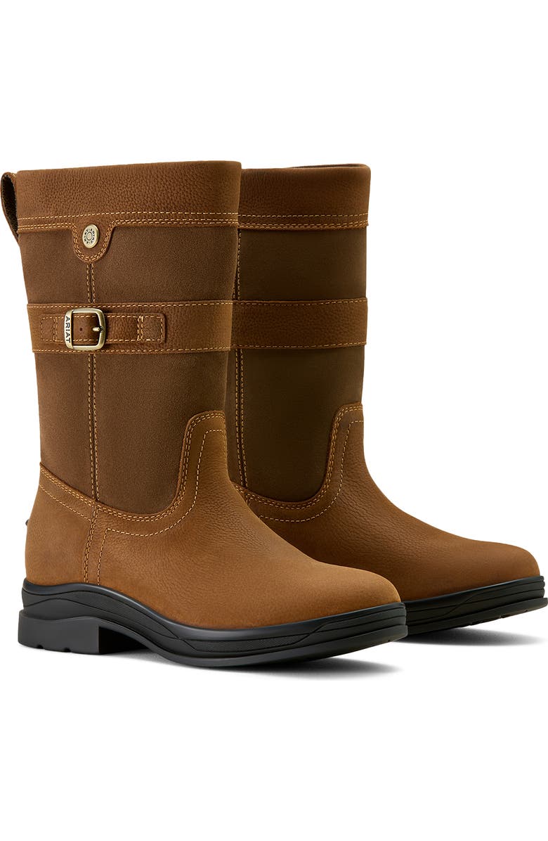 Ariat Bampton Waterproof Boot, Alternate, color, Baked Brown