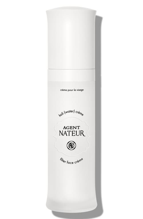 Agent Nateur Holi(water) Filter Face Cream In Transparent