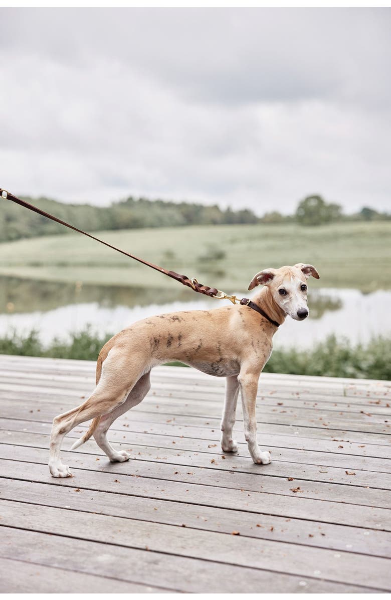 OYOY Robin Dog Collar, Alternate, color, Choko