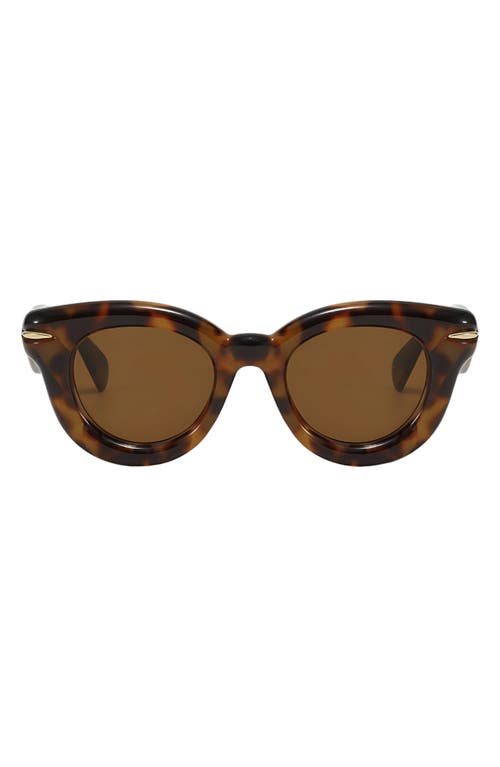 Fifth & Ninth Marlow 46mm Polarized Round Sunglasses in Torte /Brown 