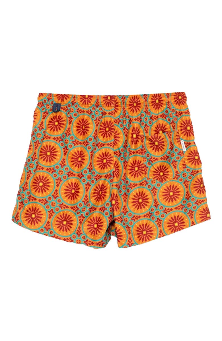 Peninsula Swimwear Spargiotto Swim Shorts, Alternate, color, Multicolor