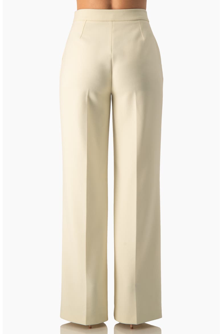High-Waist Pleated Wide-Leg Tailored Trousers, Alternate, color, Ivory