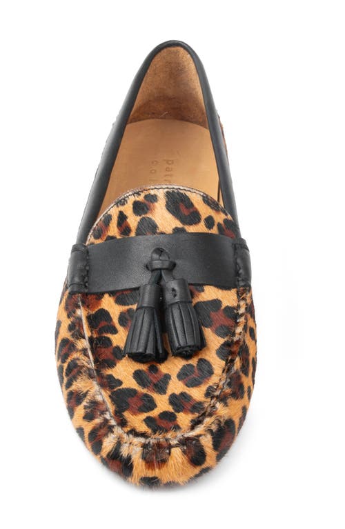 Patricia Green Jordan Moc Toe Tassel Loafer In Brown