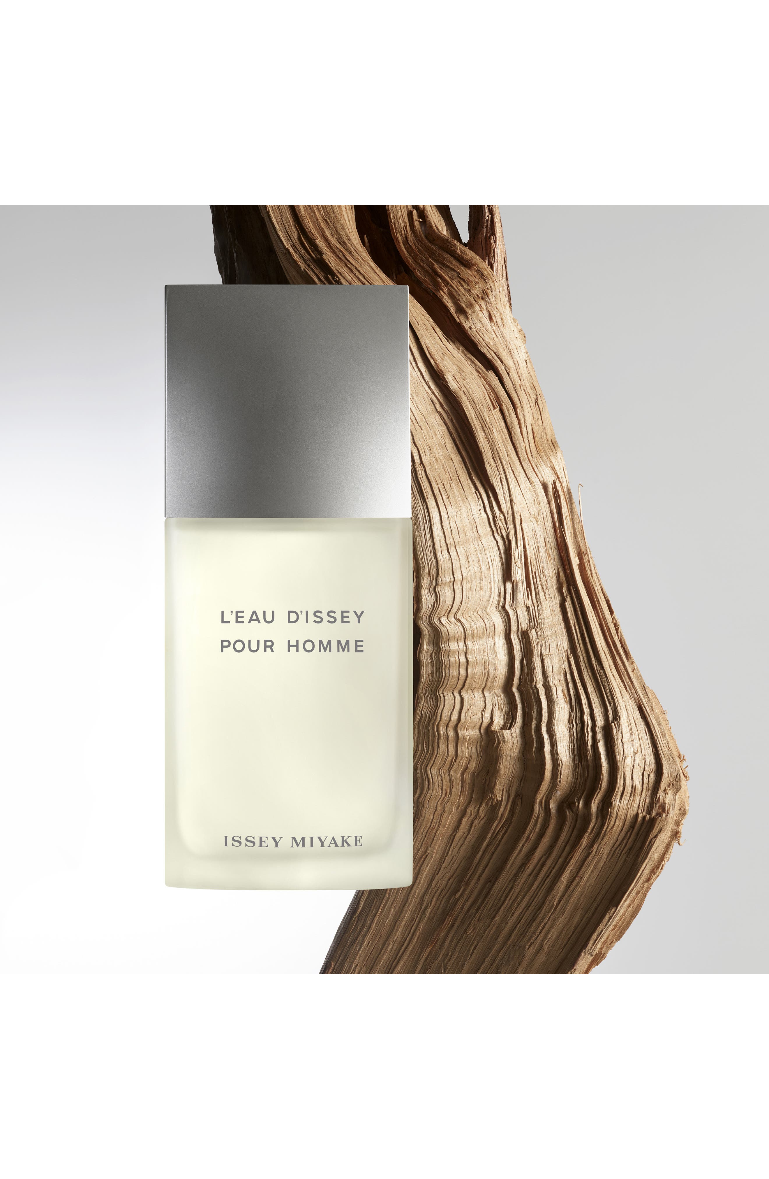 Issey Miyake L'Eau d'Issey Pour Homme Eau de Toilette Spray (Men