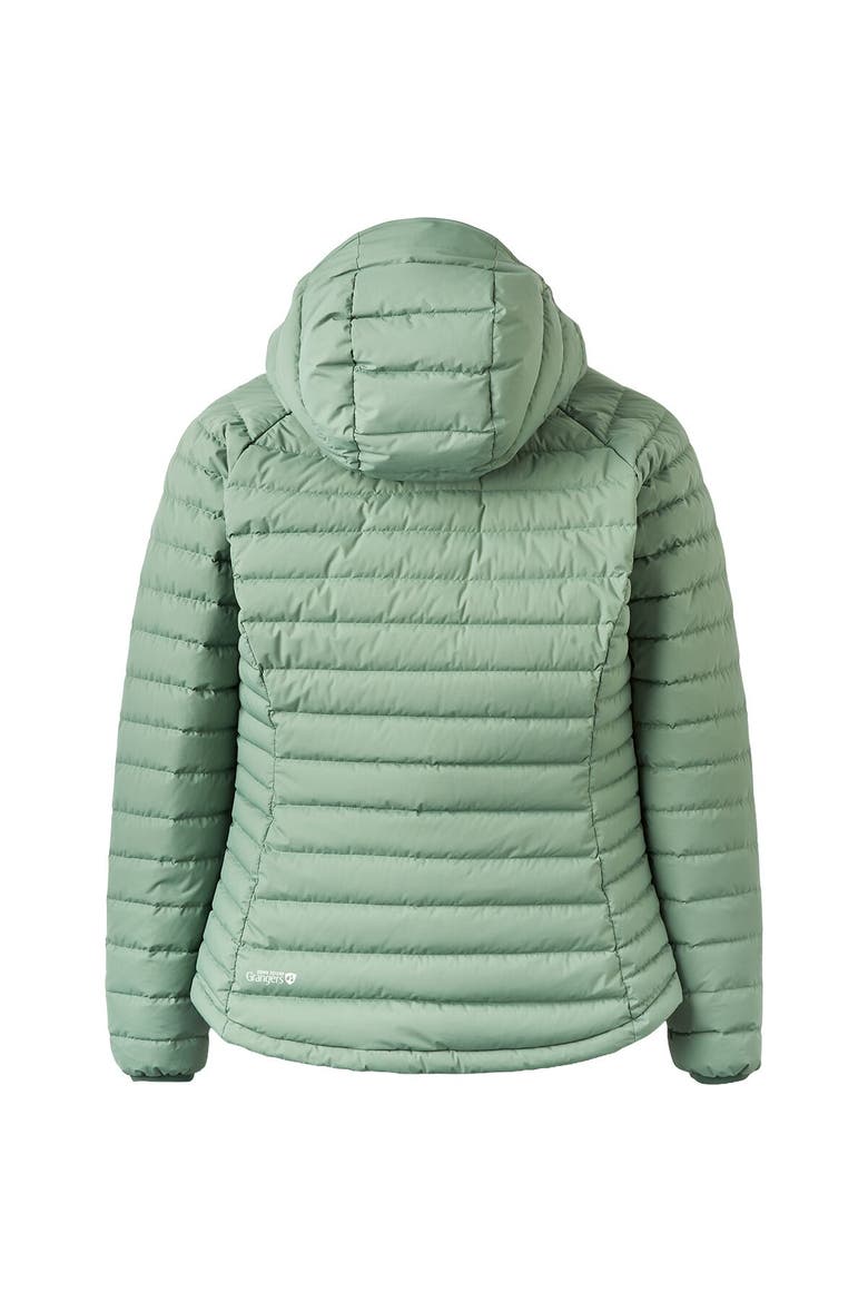Microlight Windstopper Hoodie - Women's, Alternate, color, Dark Fig Green