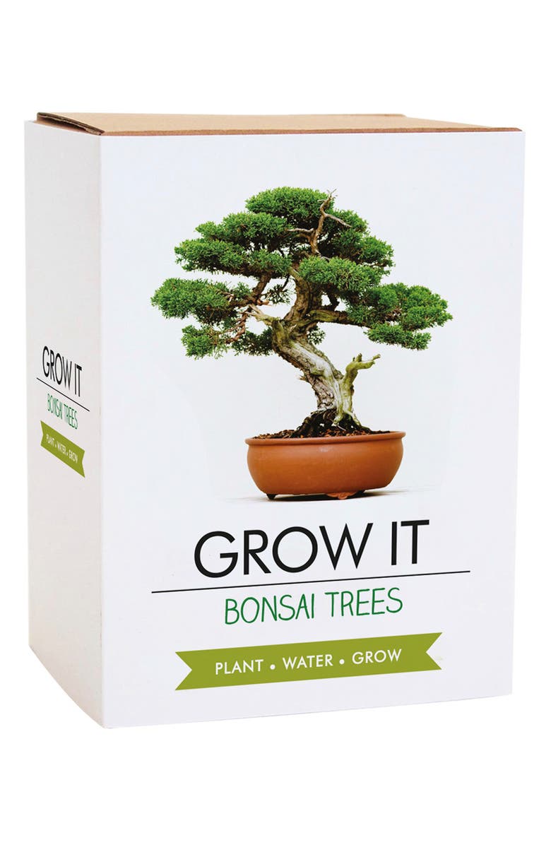 GIFT REPUBLIC Bonsai Grow Kit, Alternate, color, Brown