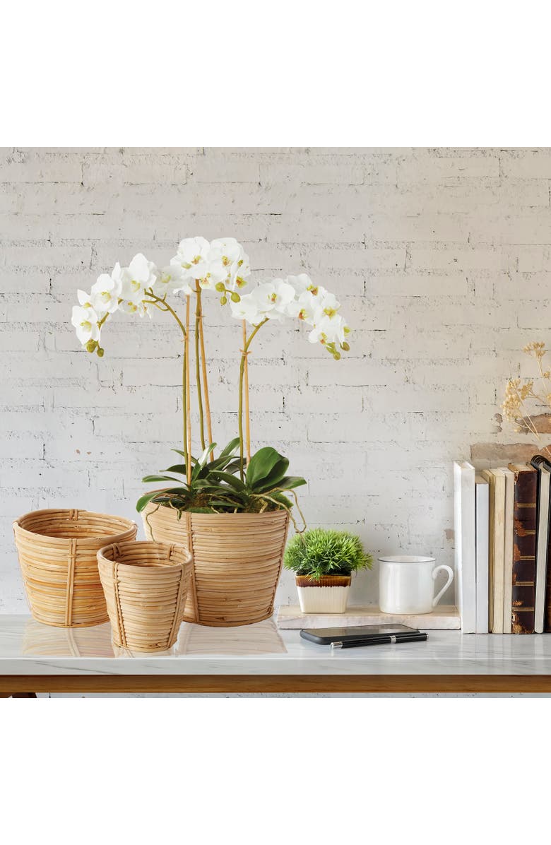 Napa Home & Garden Cane Rattan Mini Round Baskets, Set Of 3, Alternate, color, Beige